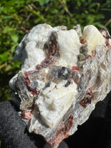 Garnet on Star Mica Specimen - 253g