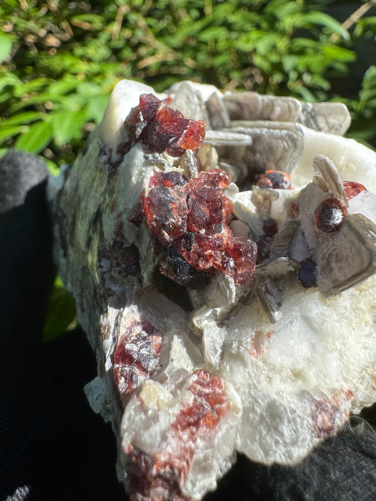 Garnet on Star Mica Specimen - 253g