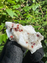 Garnet on Star Mica Specimen - 24g