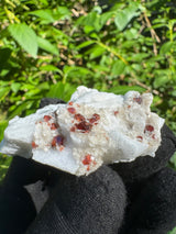 Garnet on Star Mica Specimen - 24g