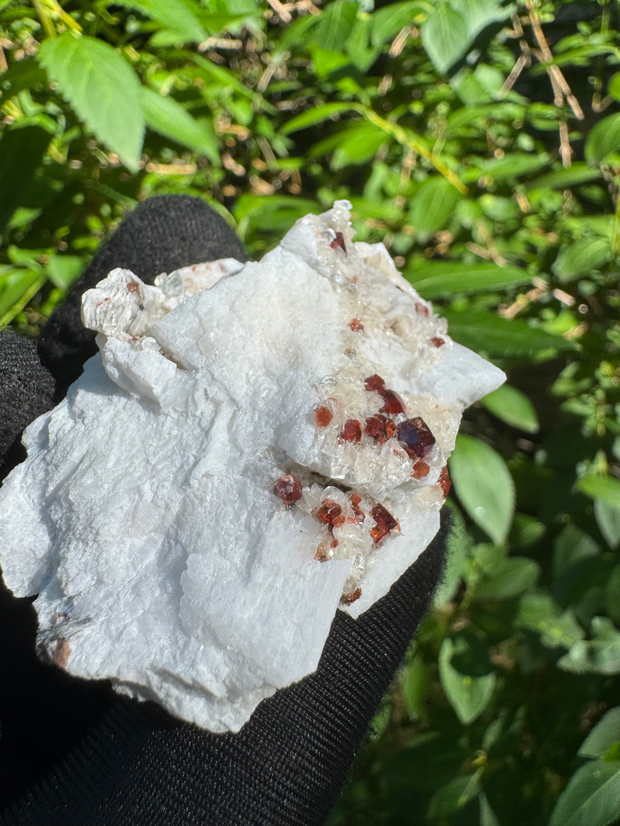 Garnet on Star Mica Specimen - 24g