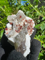 Garnet on Star Mica Specimen - 81g