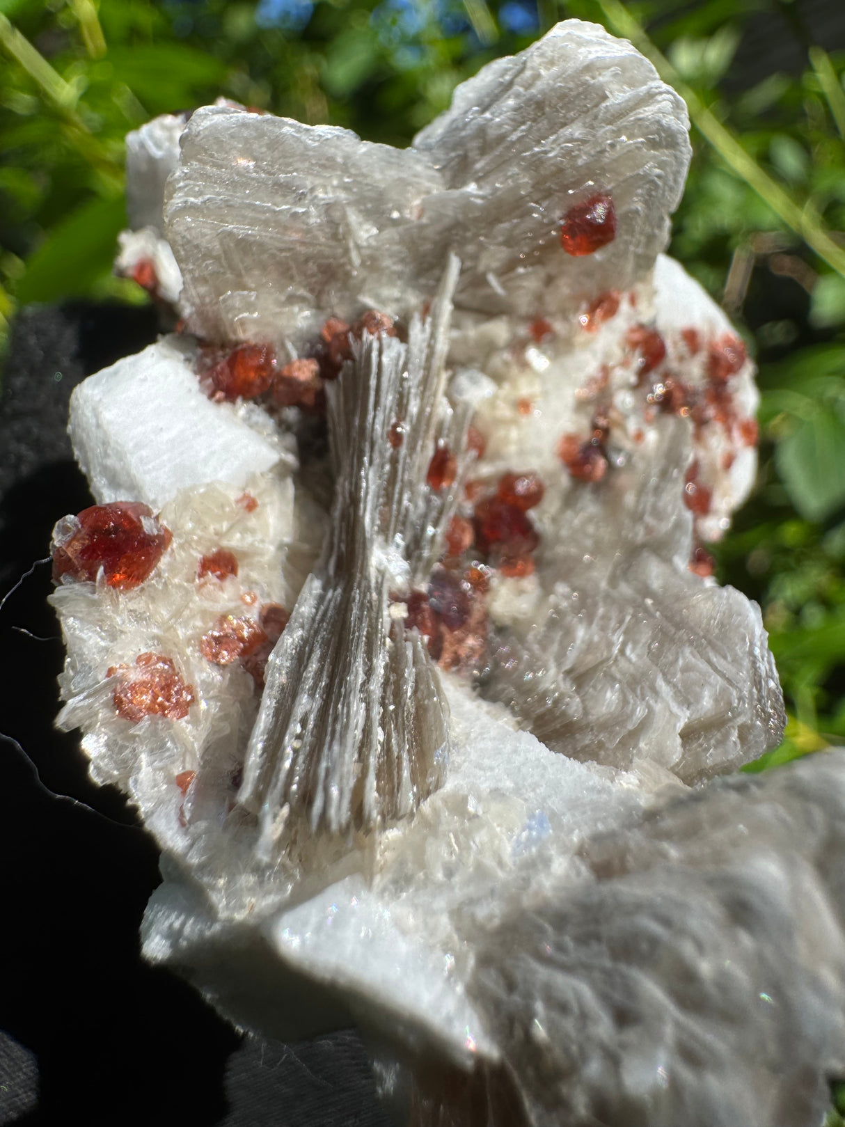 Garnet on Star Mica Specimen - 81g