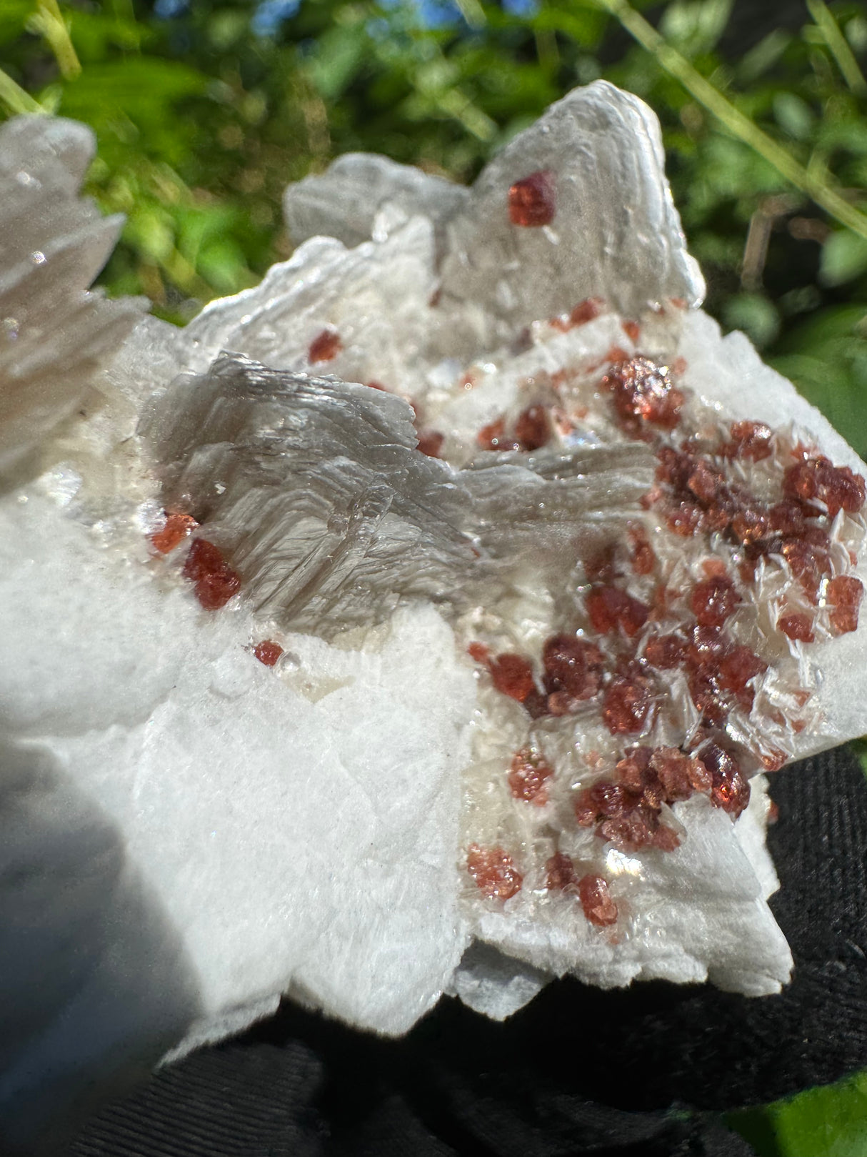 Garnet on Star Mica Specimen - 81g