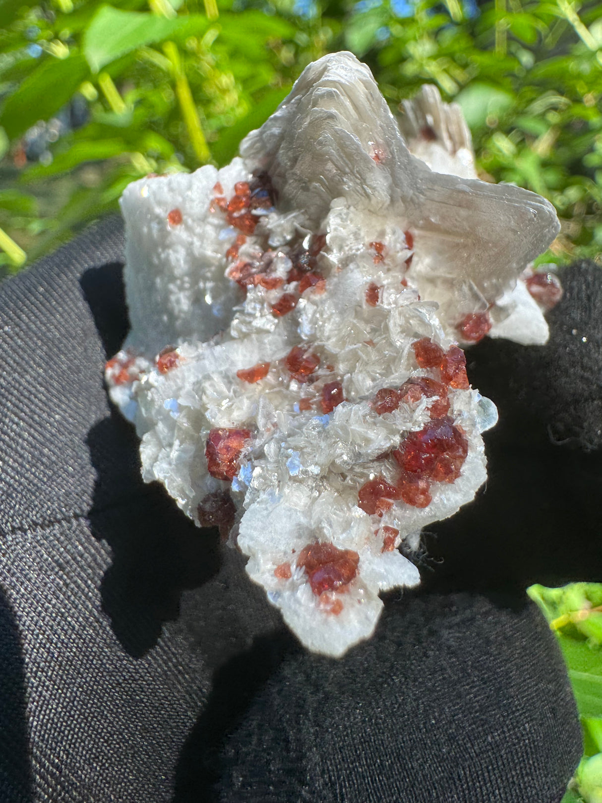Garnet on Star Mica Specimen - 81g