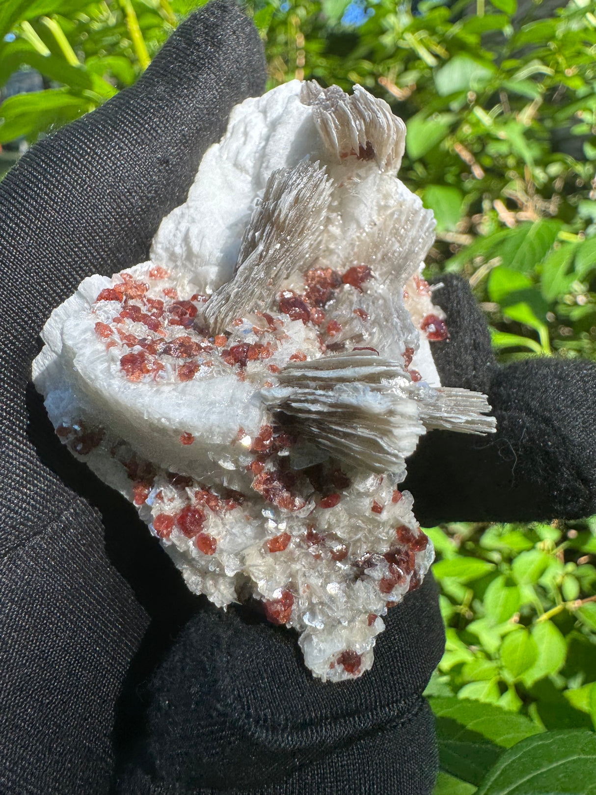 Garnet on Star Mica Specimen - 81g