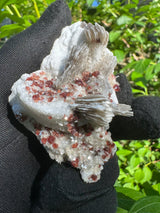 Garnet on Star Mica Specimen - 81g