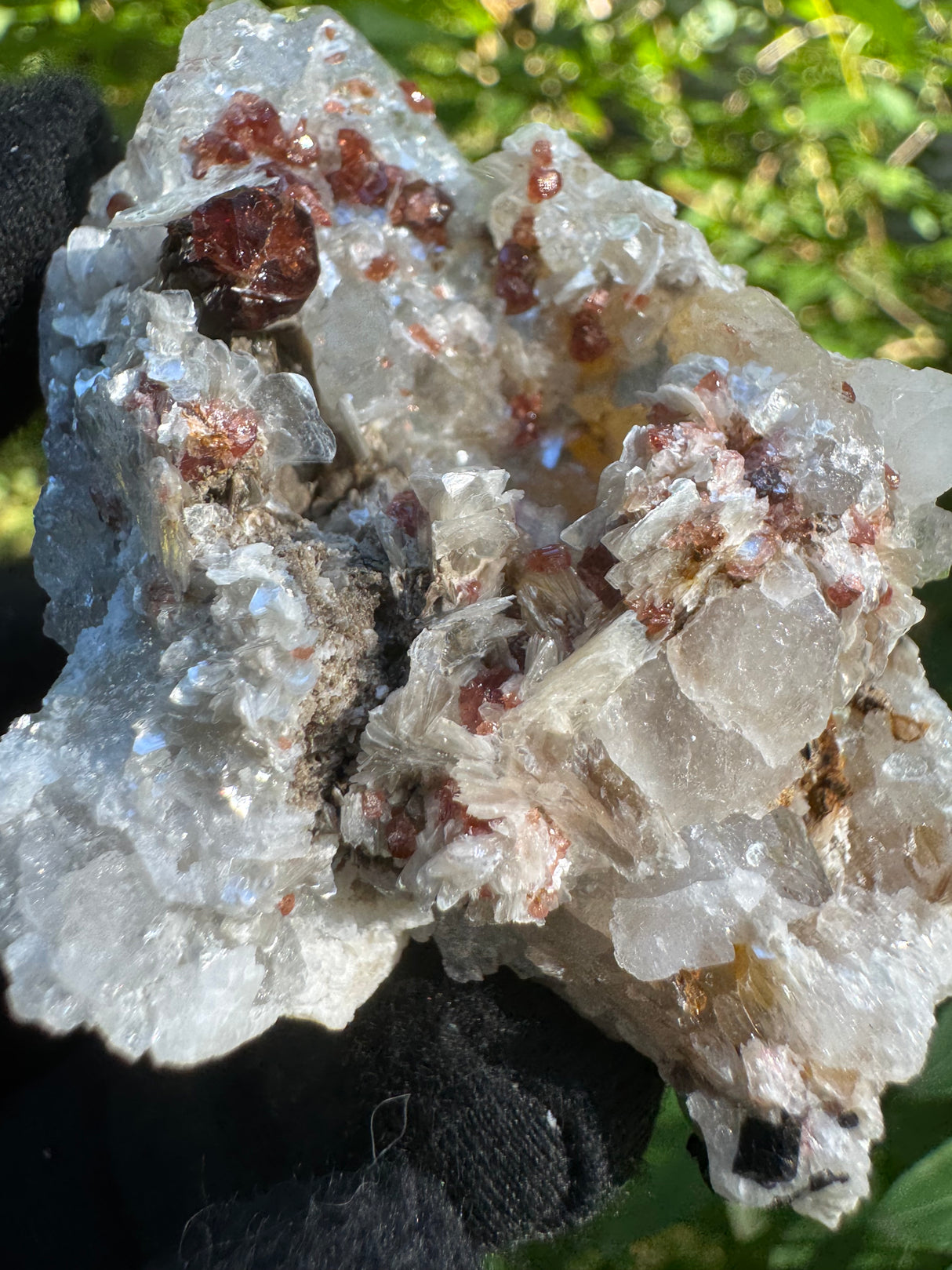 Garnet on Star Mica Specimen - 35g