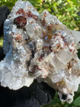Garnet on Star Mica Specimen - 35g