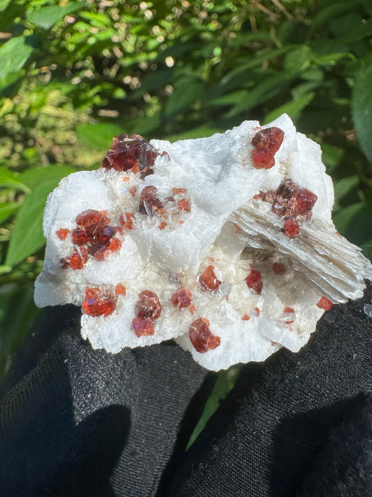 Garnet on Star Mica Specimen - 30g
