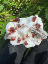 Garnet on Star Mica Specimen - 30g