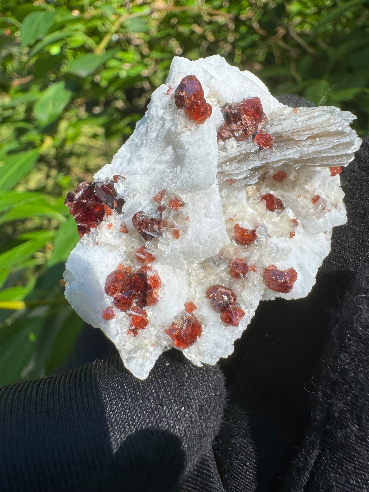 Garnet on Star Mica Specimen - 30g