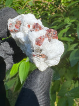 Garnet on Star Mica Specimen - 30g
