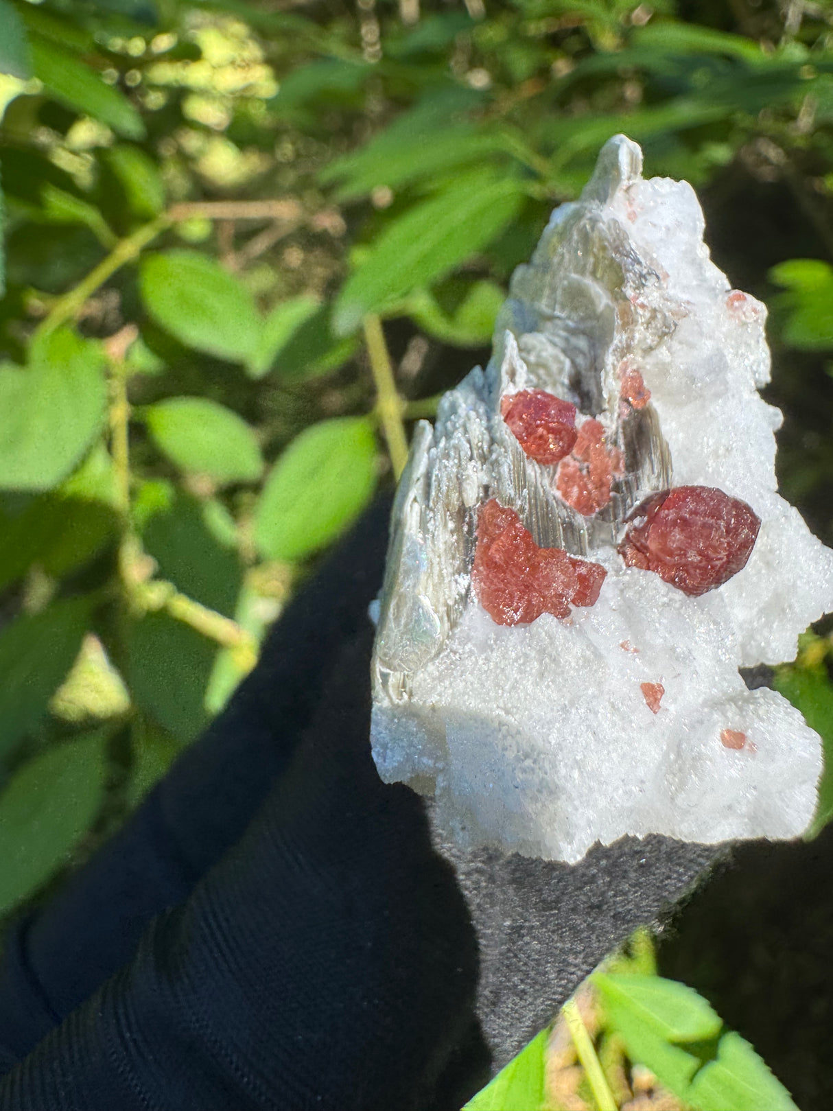 Garnet on Star Mica Specimen - 20g