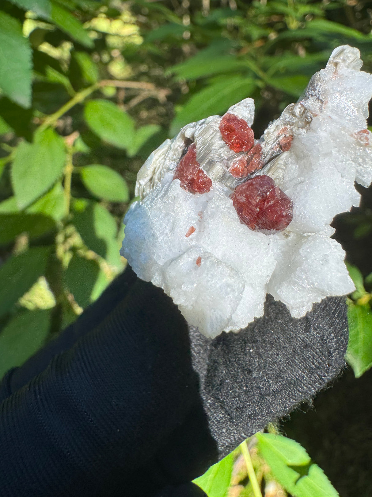 Garnet on Star Mica Specimen - 20g