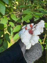 Garnet on Star Mica Specimen - 20g