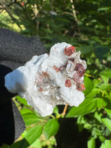 Garnet on Star Mica Specimen - 21g