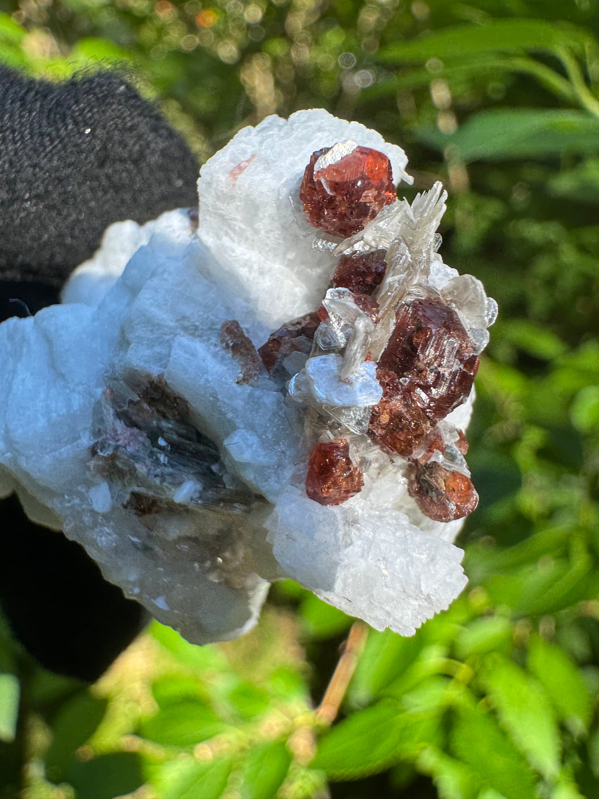 Garnet on Star Mica Specimen - 21g