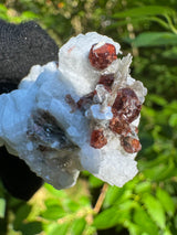 Garnet on Star Mica Specimen - 21g