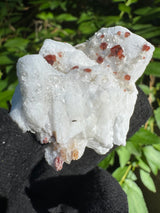 Garnet on Star Mica Specimen - 23g