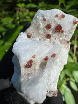 Garnet on Star Mica Specimen - 23g
