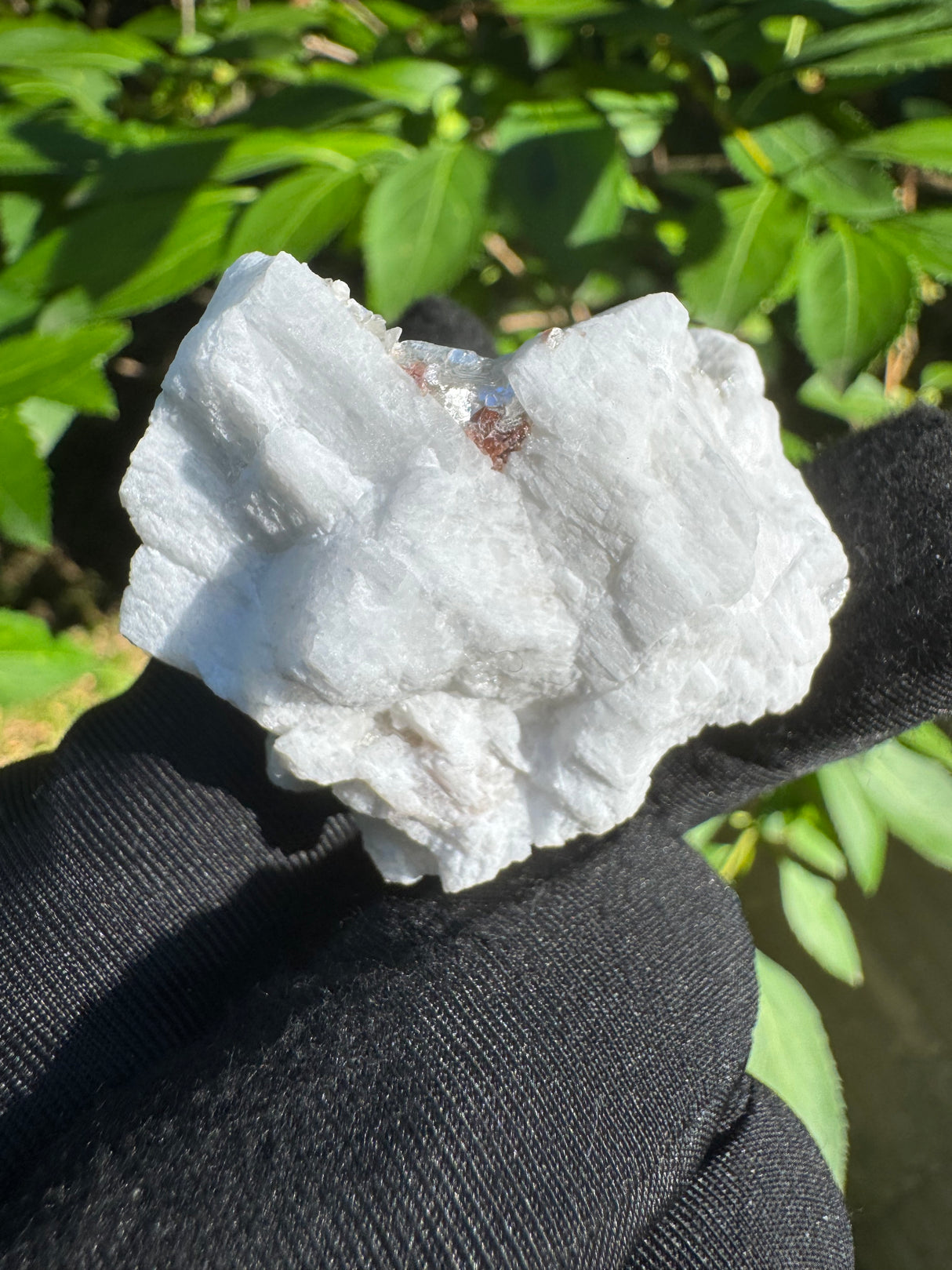 Garnet on Star Mica Specimen - 23g