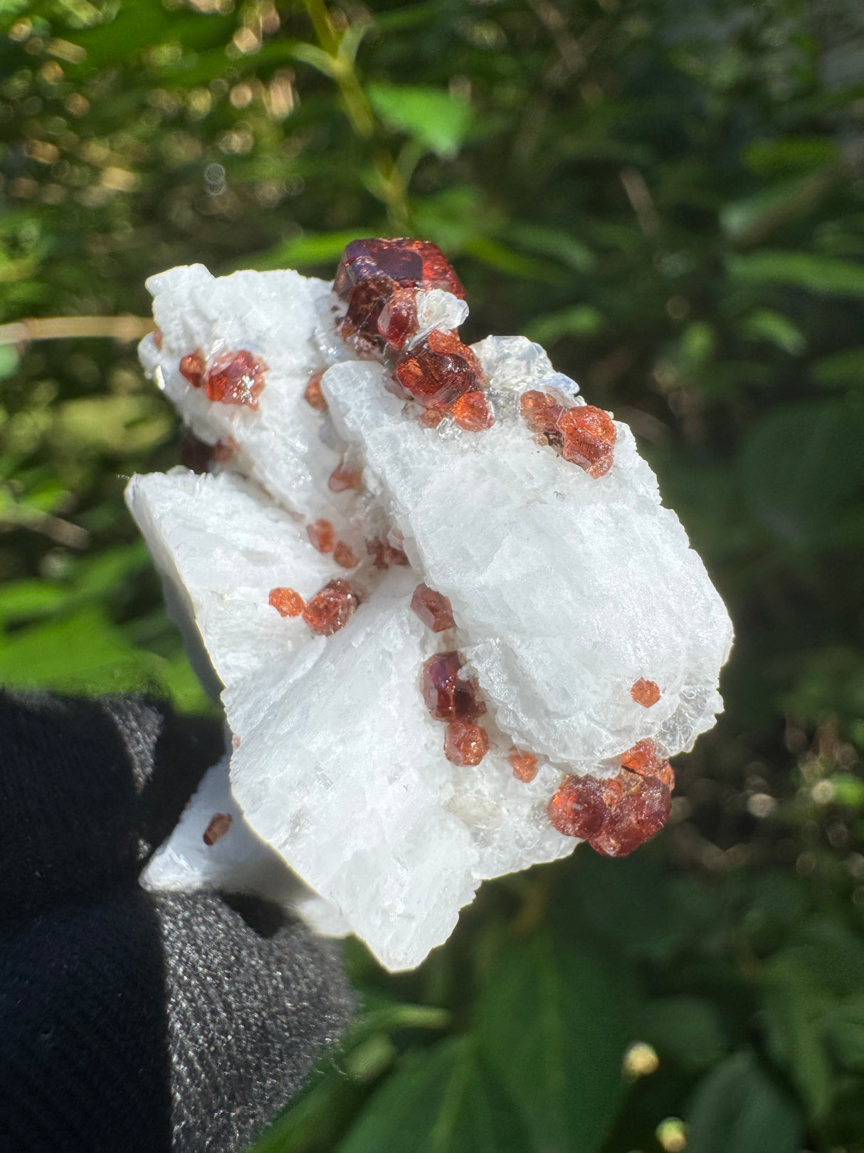 Garnet on Star Mica Specimen - 22g