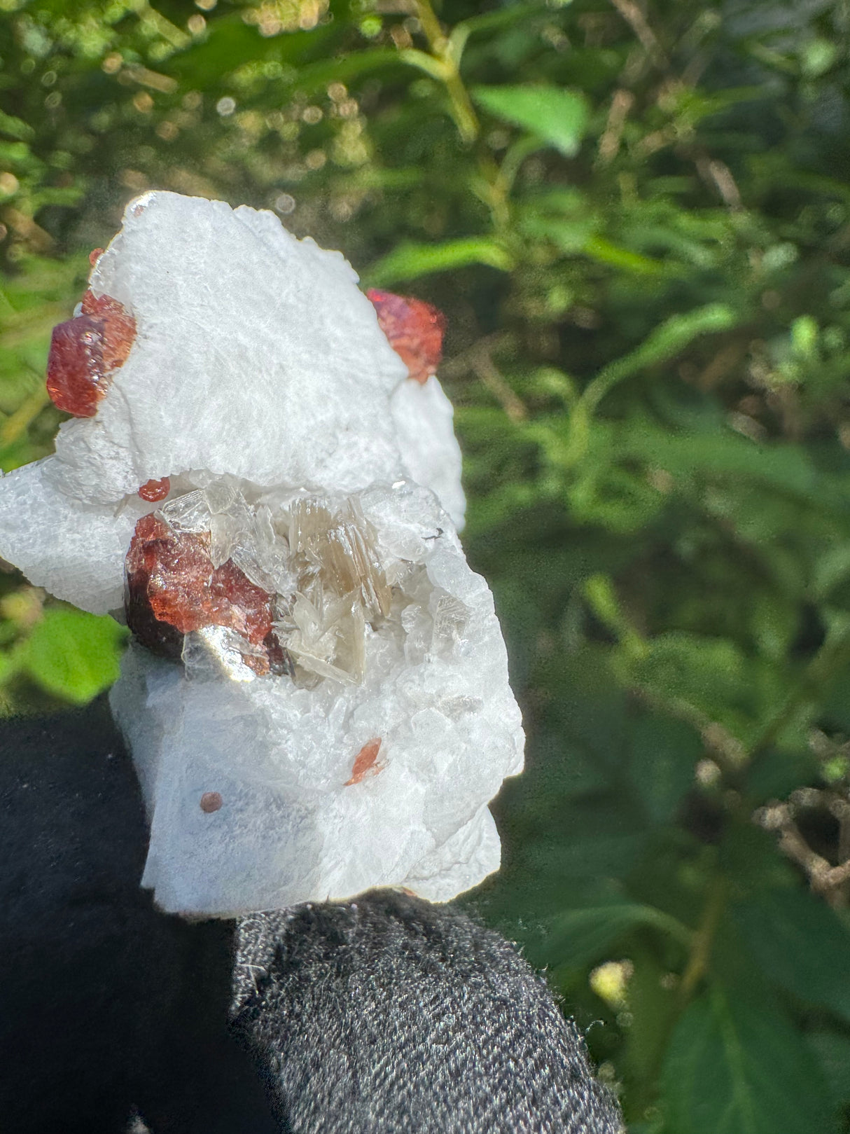 Garnet on Star Mica Specimen - 22g