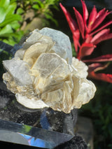 Goshenite Specimen - 37g