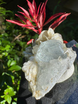 Goshenite Specimen - 37g