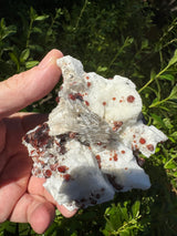 Garnet on Star Mica Specimen - 274g