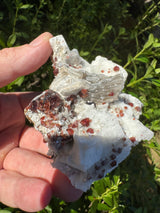 Garnet on Star Mica Specimen - 274g
