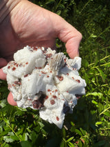 Garnet on Star Mica Specimen - 274g