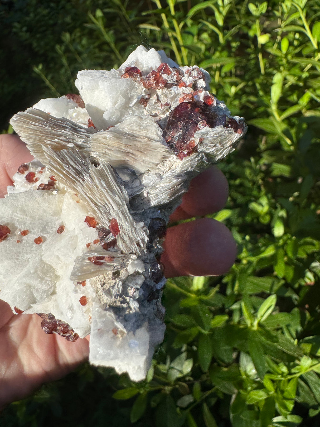 Garnet on Star Mica Specimen - 274g