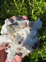 Garnet on Star Mica Specimen - 274g