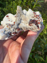 Garnet on Star Mica Specimen - 274g