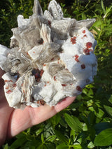 Garnet on Star Mica Specimen - 301g