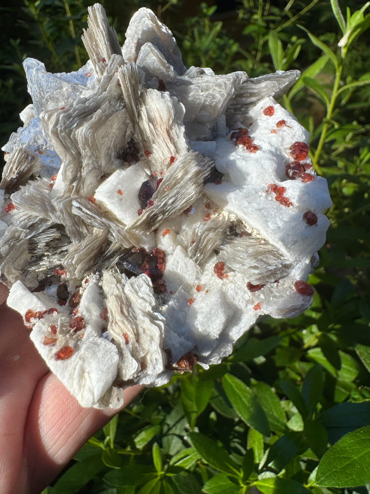 Garnet on Star Mica Specimen - 301g