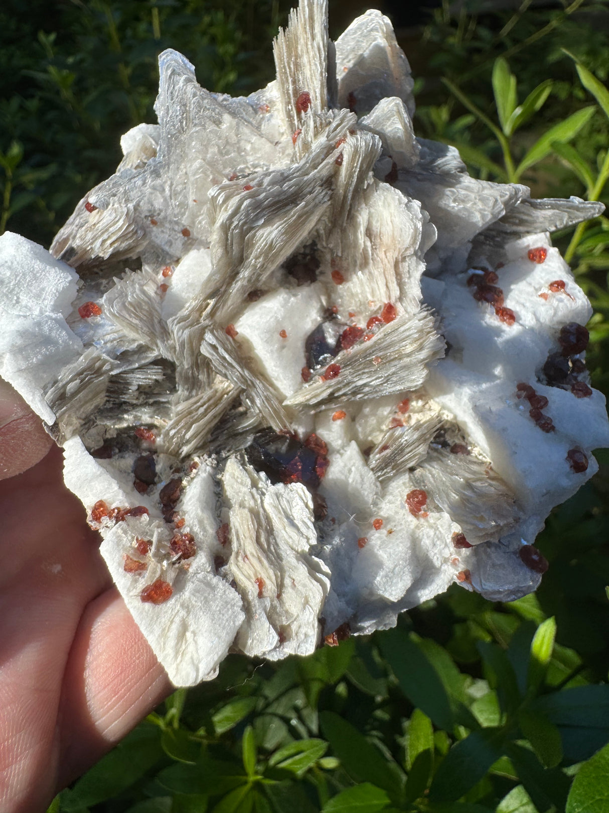 Garnet on Star Mica Specimen - 301g