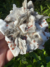 Garnet on Star Mica Specimen - 301g