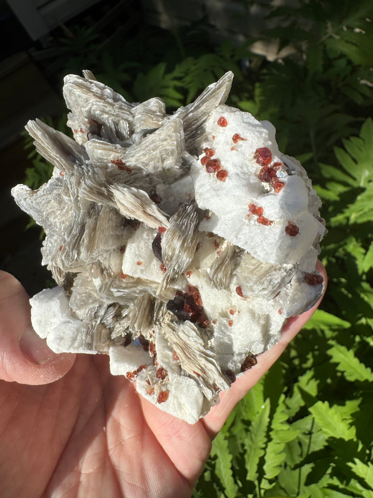 Garnet on Star Mica Specimen - 301g