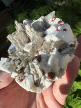 Garnet on Star Mica Specimen - 301g