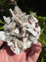 Garnet on Star Mica Specimen - 301g