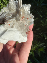 Garnet on Star Mica Specimen - 162g