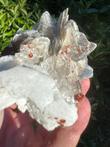 Garnet on Star Mica Specimen - 162g