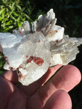 Garnet on Star Mica Specimen - 162g