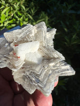 Garnet on Star Mica Specimen - 162g