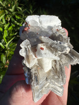 Garnet on Star Mica Specimen - 162g