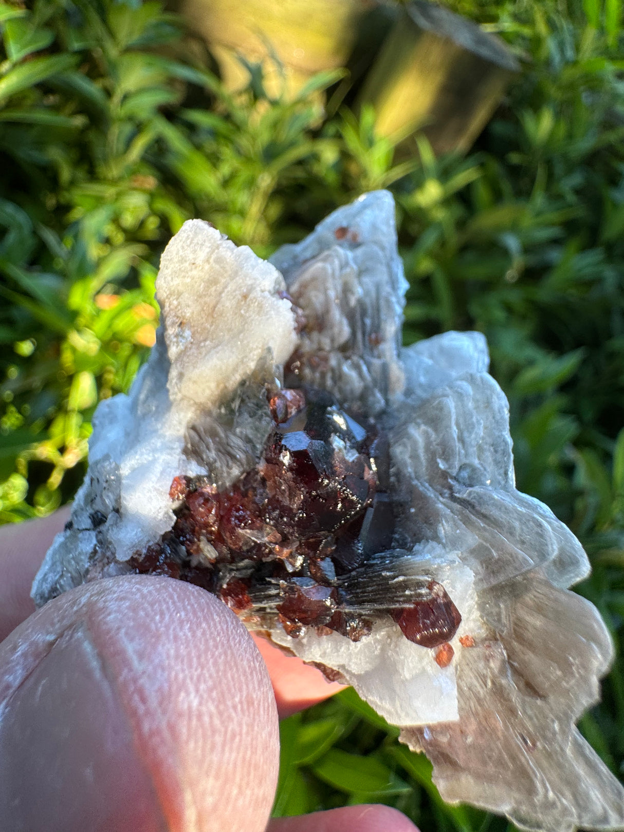Garnet on Star Mica Specimen - 101g