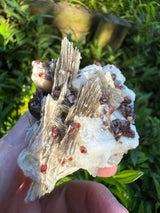 Garnet on Star Mica Specimen - 101g